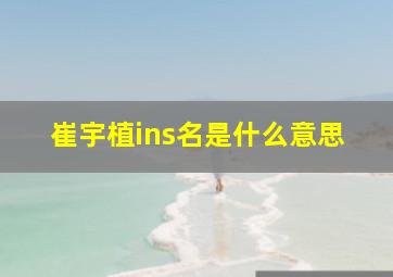 崔宇植ins名是什么意思