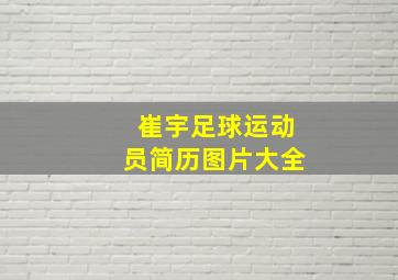 崔宇足球运动员简历图片大全