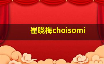 崔晓梅choisomi