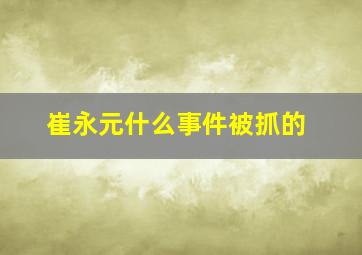 崔永元什么事件被抓的