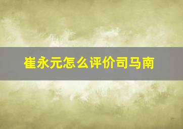 崔永元怎么评价司马南