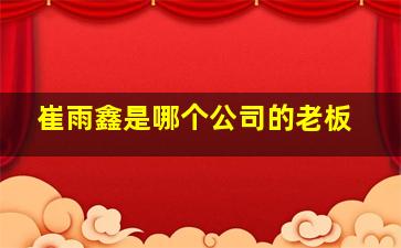 崔雨鑫是哪个公司的老板