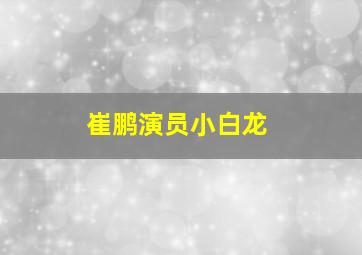 崔鹏演员小白龙