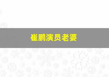 崔鹏演员老婆