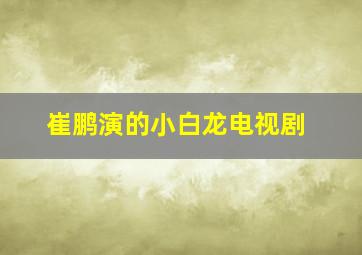 崔鹏演的小白龙电视剧