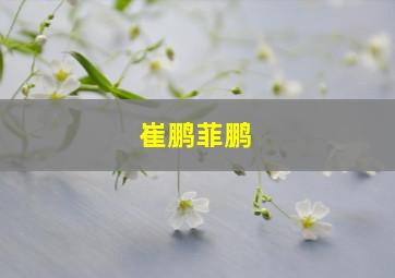 崔鹏菲鹏