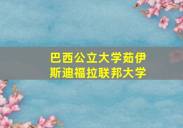 巴西公立大学茹伊斯迪福拉联邦大学