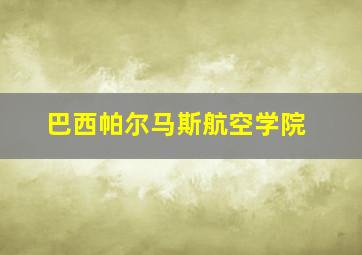 巴西帕尔马斯航空学院