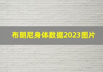 布朗尼身体数据2023图片