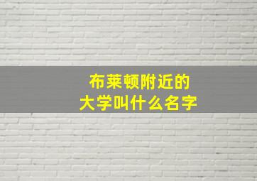 布莱顿附近的大学叫什么名字