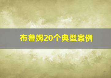 布鲁姆20个典型案例