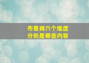 布鲁姆六个维度分别是哪些内容