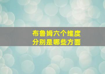 布鲁姆六个维度分别是哪些方面