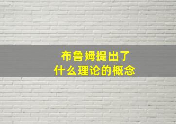 布鲁姆提出了什么理论的概念