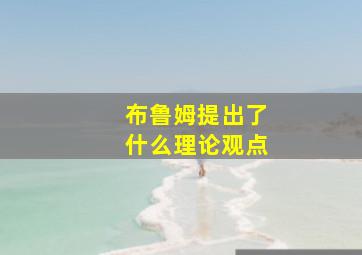 布鲁姆提出了什么理论观点