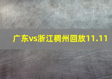 广东vs浙江稠州回放11.11