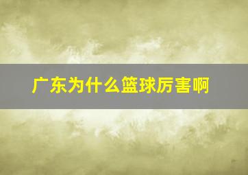 广东为什么篮球厉害啊