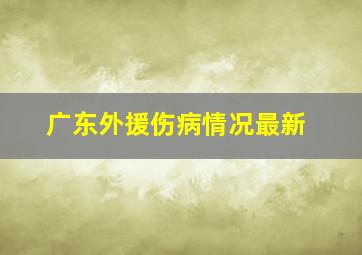 广东外援伤病情况最新