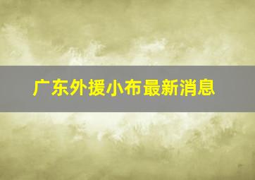 广东外援小布最新消息