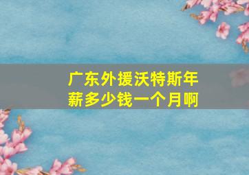 广东外援沃特斯年薪多少钱一个月啊