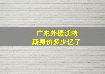 广东外援沃特斯身价多少亿了