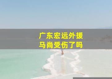 广东宏远外援马尚受伤了吗