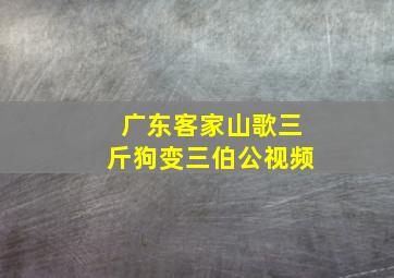 广东客家山歌三斤狗变三伯公视频