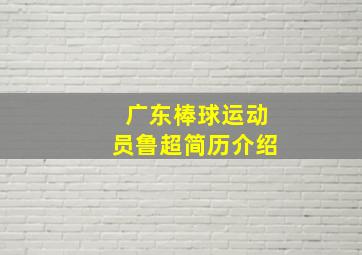 广东棒球运动员鲁超简历介绍