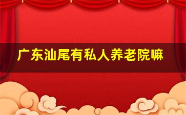 广东汕尾有私人养老院嘛