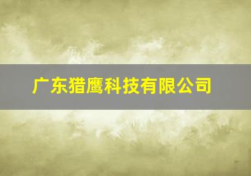 广东猎鹰科技有限公司