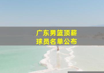 广东男篮顶薪球员名单公布