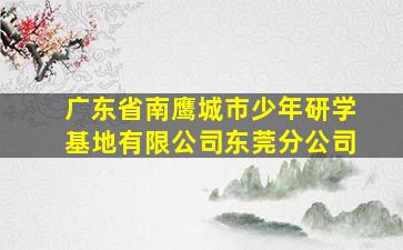 广东省南鹰城市少年研学基地有限公司东莞分公司