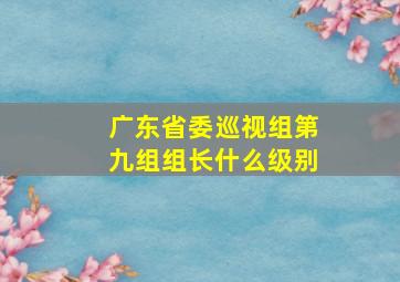 广东省委巡视组第九组组长什么级别