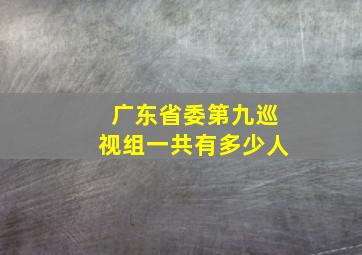 广东省委第九巡视组一共有多少人