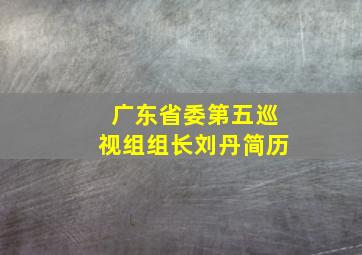 广东省委第五巡视组组长刘丹简历