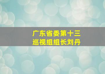 广东省委第十三巡视组组长刘丹