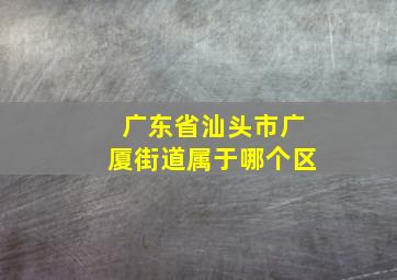 广东省汕头市广厦街道属于哪个区