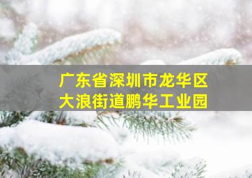 广东省深圳市龙华区大浪街道鹏华工业园