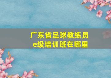 广东省足球教练员e级培训班在哪里