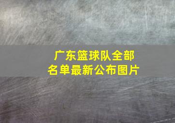 广东篮球队全部名单最新公布图片