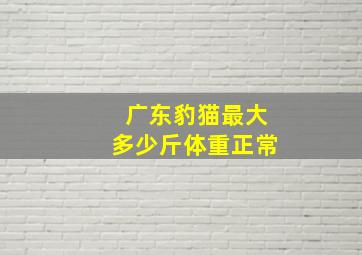 广东豹猫最大多少斤体重正常