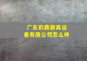 广东豹鼎厨具设备有限公司怎么样