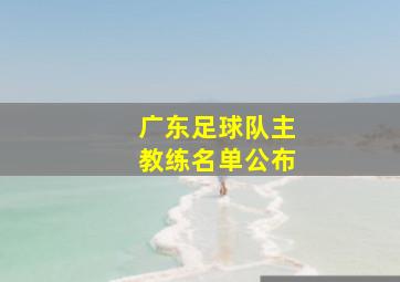 广东足球队主教练名单公布