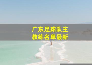 广东足球队主教练名单最新