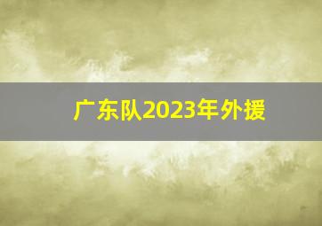 广东队2023年外援