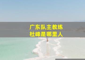 广东队主教练杜峰是哪里人