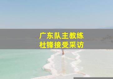 广东队主教练杜锋接受采访