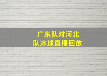 广东队对河北队冰球直播回放