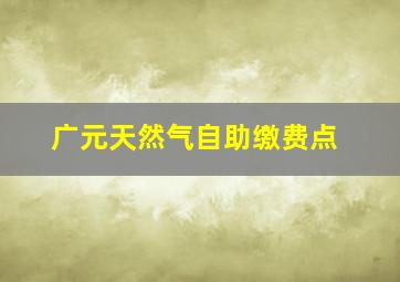 广元天然气自助缴费点