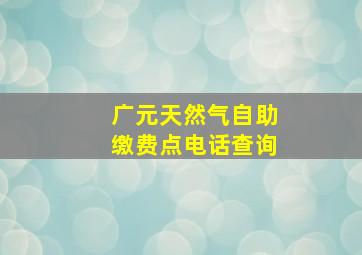 广元天然气自助缴费点电话查询